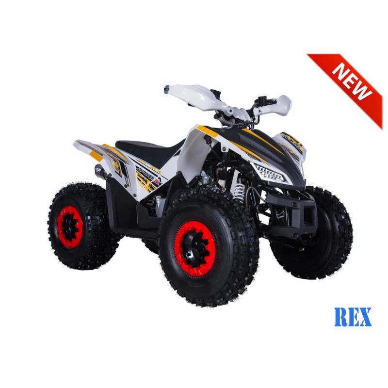 VTT TAO MOTOR REX Automatique 125 Cc Ebike VTT Rive Sud